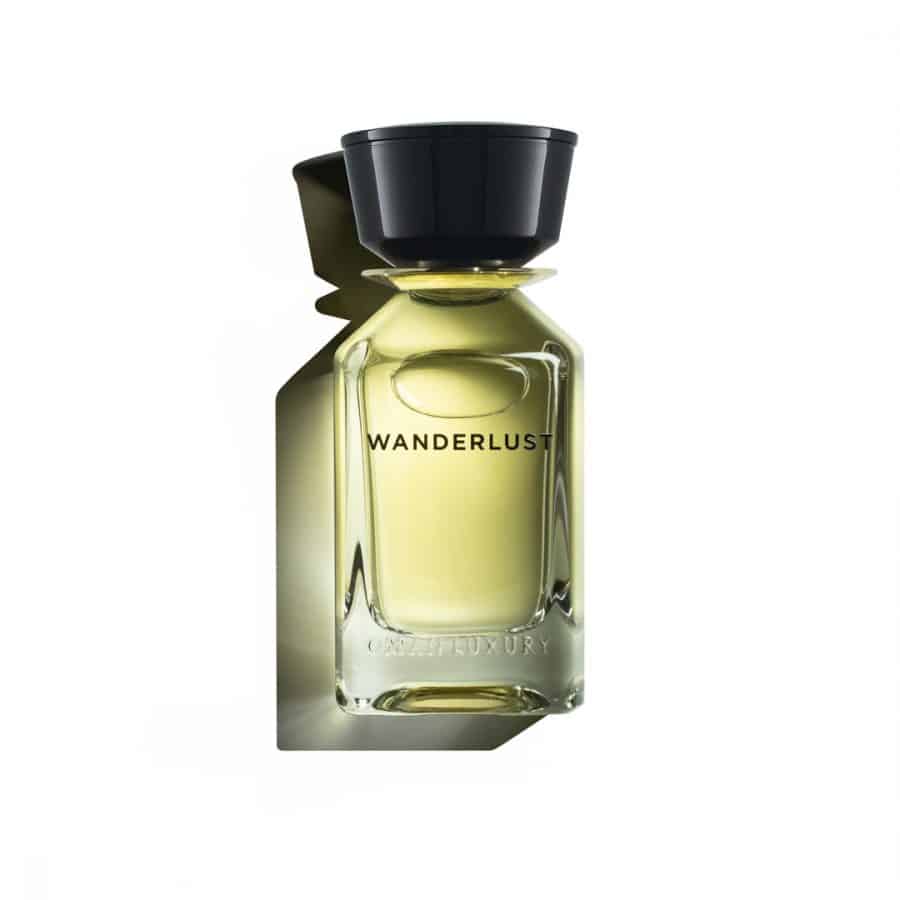 Wanderlust 100ml Eau de Parfum 100ml by Oman Luxury